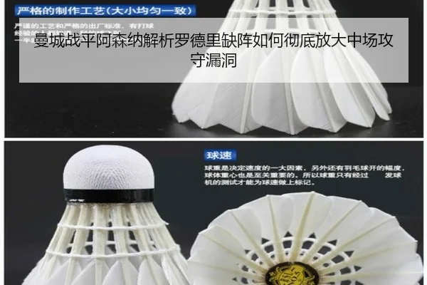 man-cheng-zhan-ping-a-sen-na-jie-xi-luo-de-li-que-zhen-ru-he-che-di-fang-da-zhong-chang-gong-shou-lou-dong-2-731.jpg