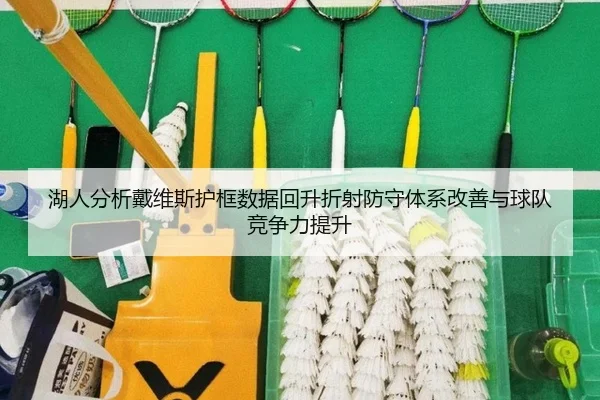 湖人分析戴维斯护框数据回升折射防守体系改善与球队竞争力提升